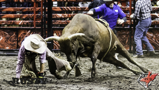 PBR 0423016.jpg
